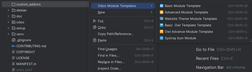 module_template_generator