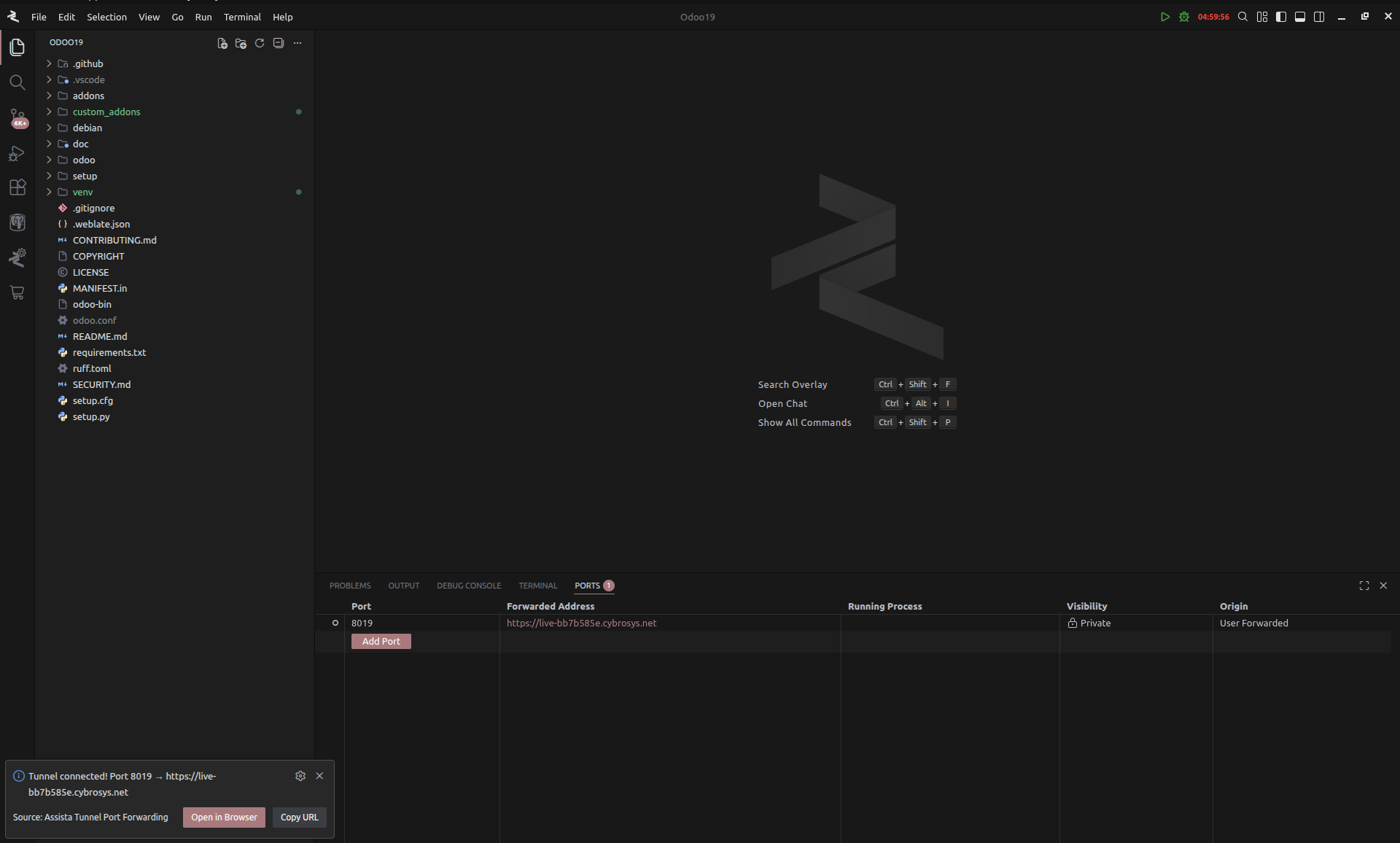 Debugger Management Port