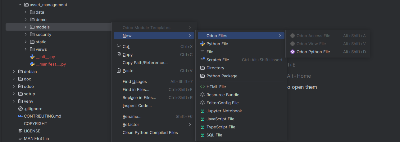 In the models folder only Odoo Python File is enabled in the Odoo Files menu