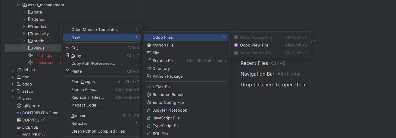 In the views folder only Odoo View File is enabled in the Odoo Files menu